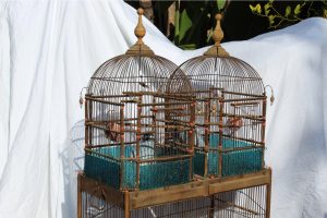 19th-century-english-victorian-bird-cage-3489