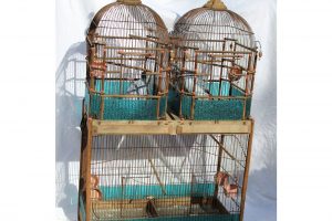 19th-century-english-victorian-bird-cage-6562