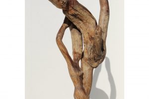 monumental-erotic-mid-century-driftwood-sculpture-3585